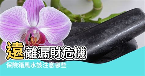 保險箱放房間|【風水保險櫃的擺放位置】遠離漏財危機 